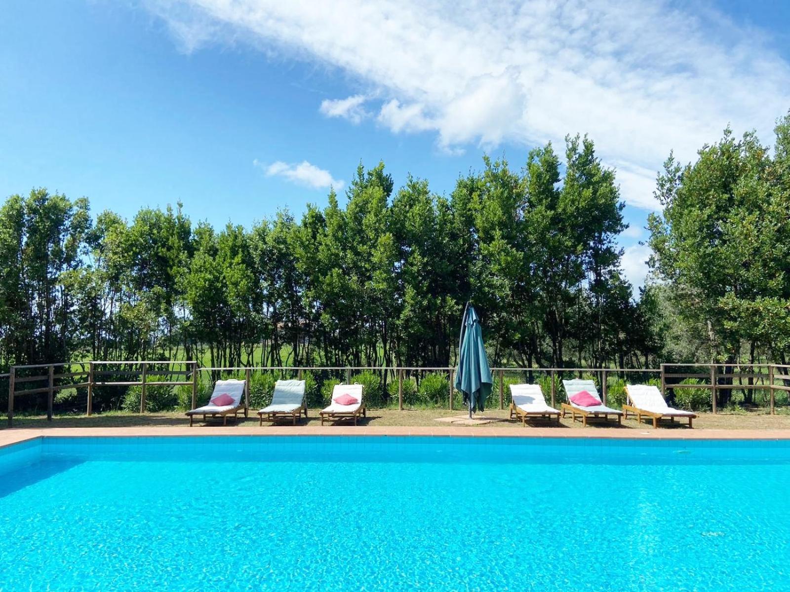 Appartamento Relais Casale Il Poggetto - Oleandri By Zoom In Earth Cecina  Esterno foto